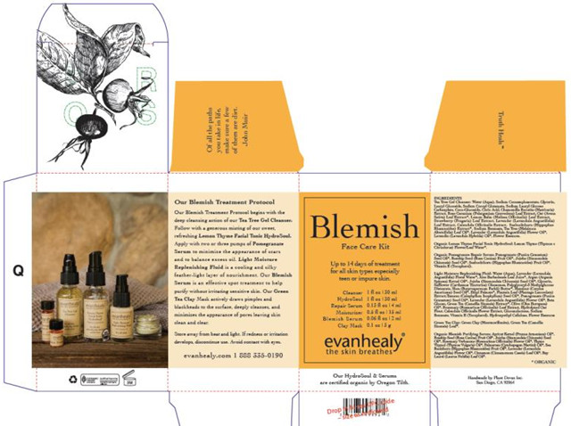 Evanhealy Blemish Face Care Kit 외 제품사진 #2