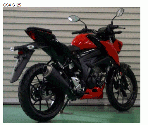Suzuki GSX-R125, GSX-S125 제품사진 #1