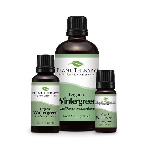 1) Plant Therapy Wintergreen, 2) Plant Therapy Organic Wintergreen, 3) Plant Therapy Tingly Mint Synergy Blend, 4) Plant Therapy Vein Aid Synergy Blend (undiluted) 제품사진 #2