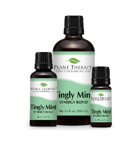 1) Plant Therapy Wintergreen, 2) Plant Therapy Organic Wintergreen, 3) Plant Therapy Tingly Mint Synergy Blend, 4) Plant Therapy Vein Aid Synergy Blend (undiluted) 제품사진 #3