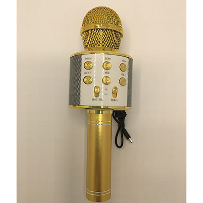 Handheld KTV Wireless Microphone Hifi Speaker (모델번호: WS-858) 제품사진 #2