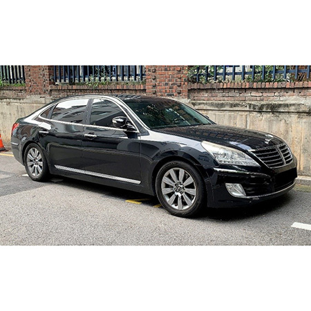 Hyundai SANTA FE, Starex/H1, iX 55/Veracruz, EQUUS/Centennial 제품사진 #1