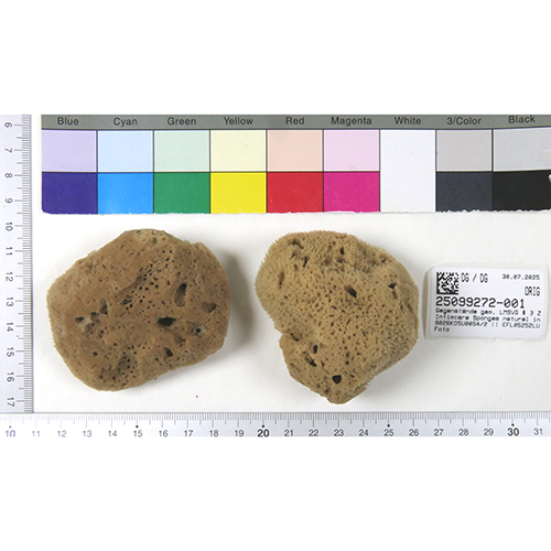 o 제품명 : Intimatecare Sponges  * 리콜사이트에는 'Intimcare Sponges'로 표기됨 제품사진 #2