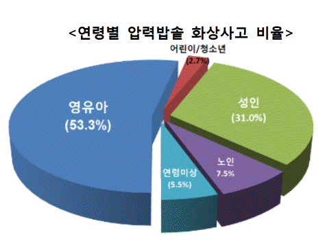 연령별 압력밥솥 화상사고 비율 / 영유하 53.3%, 연령미상 5.5%, 노인 7.5%, 성인 31%, 어린이/청소년 2.7%